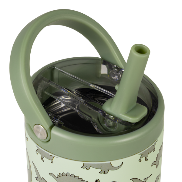 Dinosaur D4